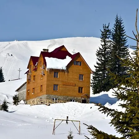 Smerichka 드라고브라트